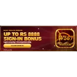 Download W567 APK